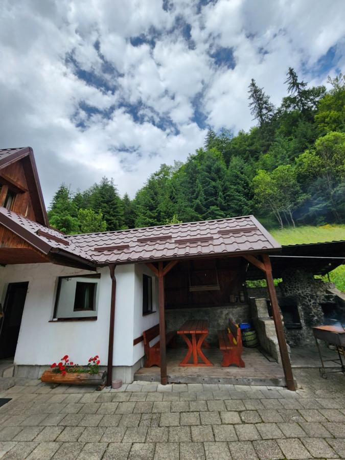 Pensiunea Susman Răchițele Exterior foto