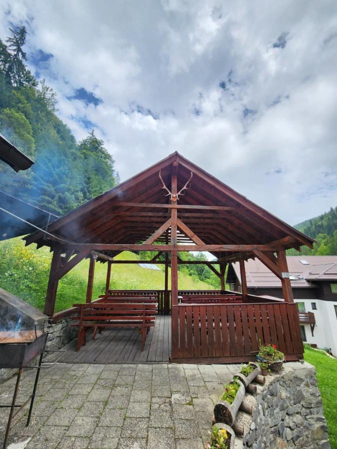 Pensiunea Susman Răchițele Exterior foto