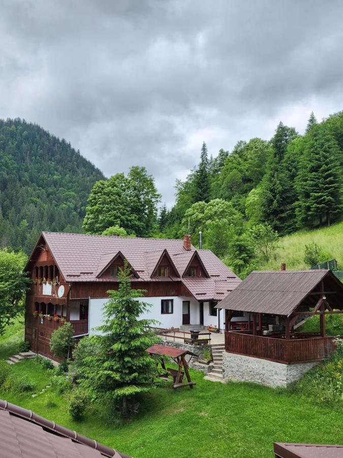 Pensiunea Susman Răchițele Exterior foto