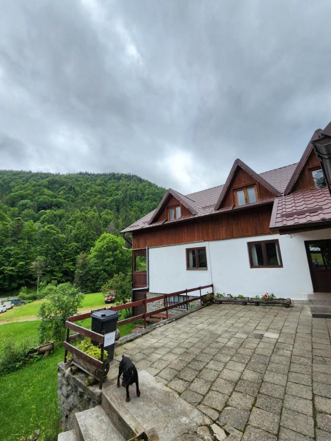 Pensiunea Susman Răchițele Exterior foto