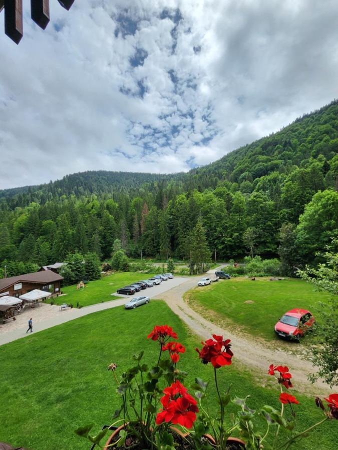 Pensiunea Susman Răchițele Exterior foto
